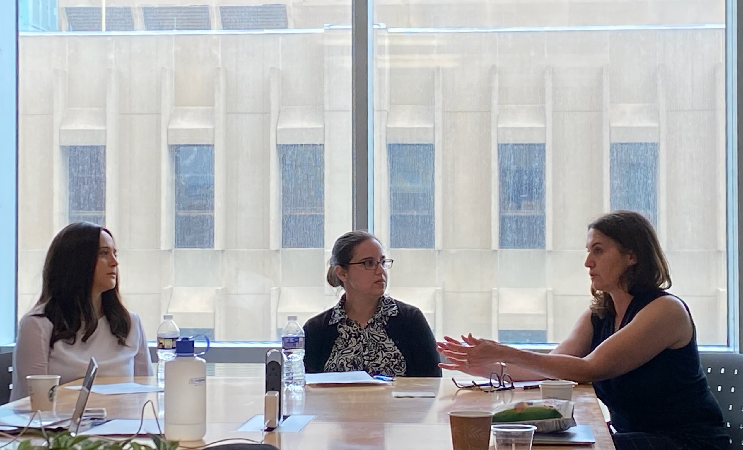 A panel of practitioner experts seated in conference table in front of a large window having a serious conversation