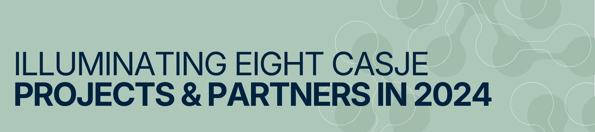 Illuminating 8 CASJE Projects and Partners in 2024