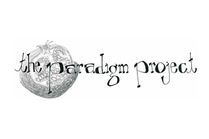 The Paradigm Project logo